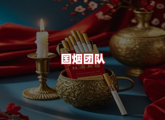 国烟团队