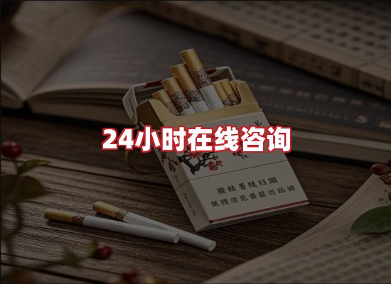 专业团队